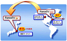 forextv02.gif