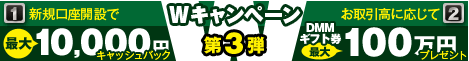 dmm11113.gif