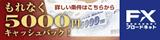 FX�X�v