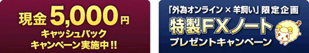 fxnote5000.gif