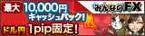 �p���^���C�،�