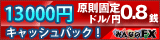 �p���^���C�،�FX